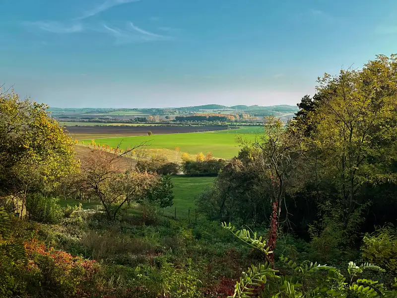 Prodej stavebního pozemku 1687 m², Dřínov – náhled fotky 2