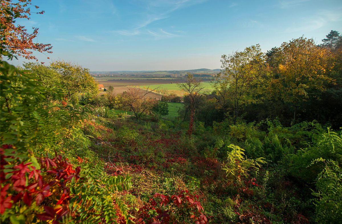 Prodej stavebního pozemku 1687 m², Dřínov – fotka 1 z 3
