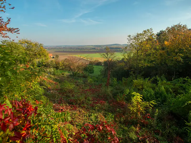 Prodej stavebního pozemku 1687 m², Dřínov – náhled fotky 1