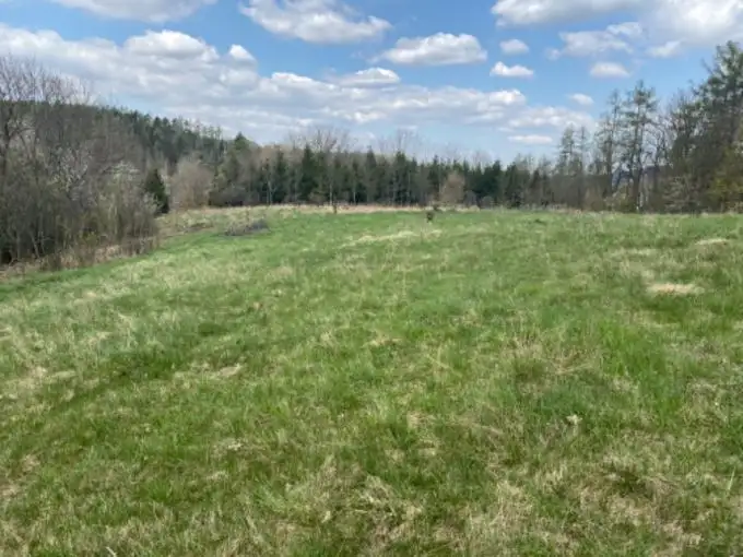 Prodej stavebního pozemku 7630 m², Sázava – náhled fotky 3