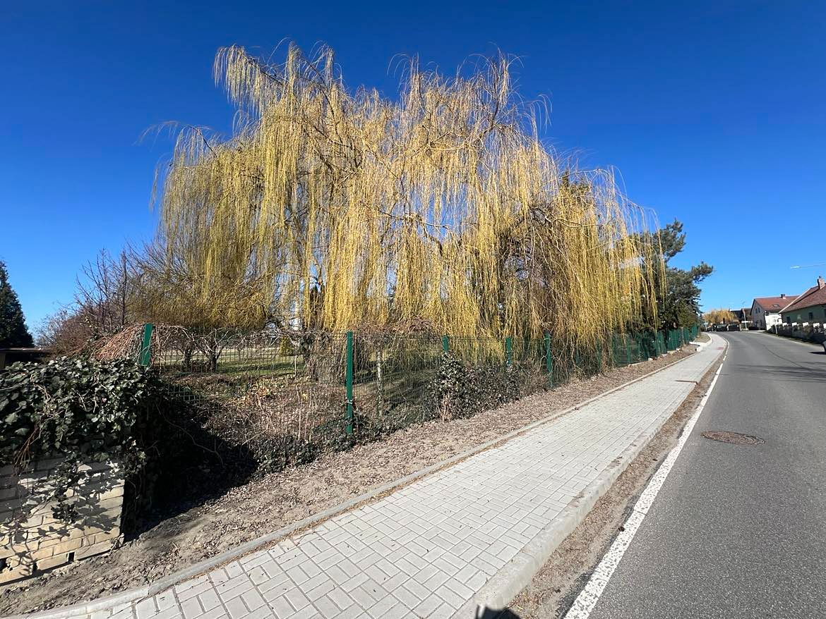 Prodej stavebního pozemku 838 m² – fotografie 3