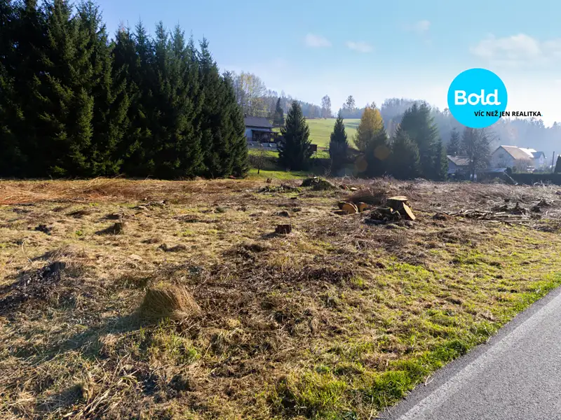 Prodej stavebního pozemku 3186 m², Klášterec nad Orlicí – náhled fotky 3