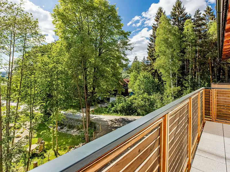Prodej bytu 2+kk 71 m², Lipno nad Vltavou – náhled fotky 2