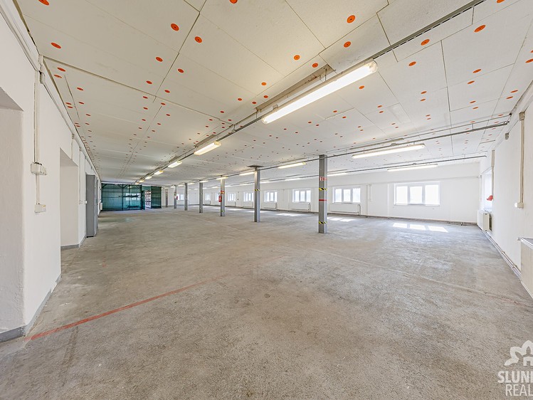 Gewerbefläche zur Miete, 391 m² (5 von 16)