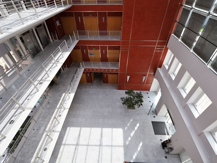 Комерційне приміщення в оренду, 415 м² (5 з 9)