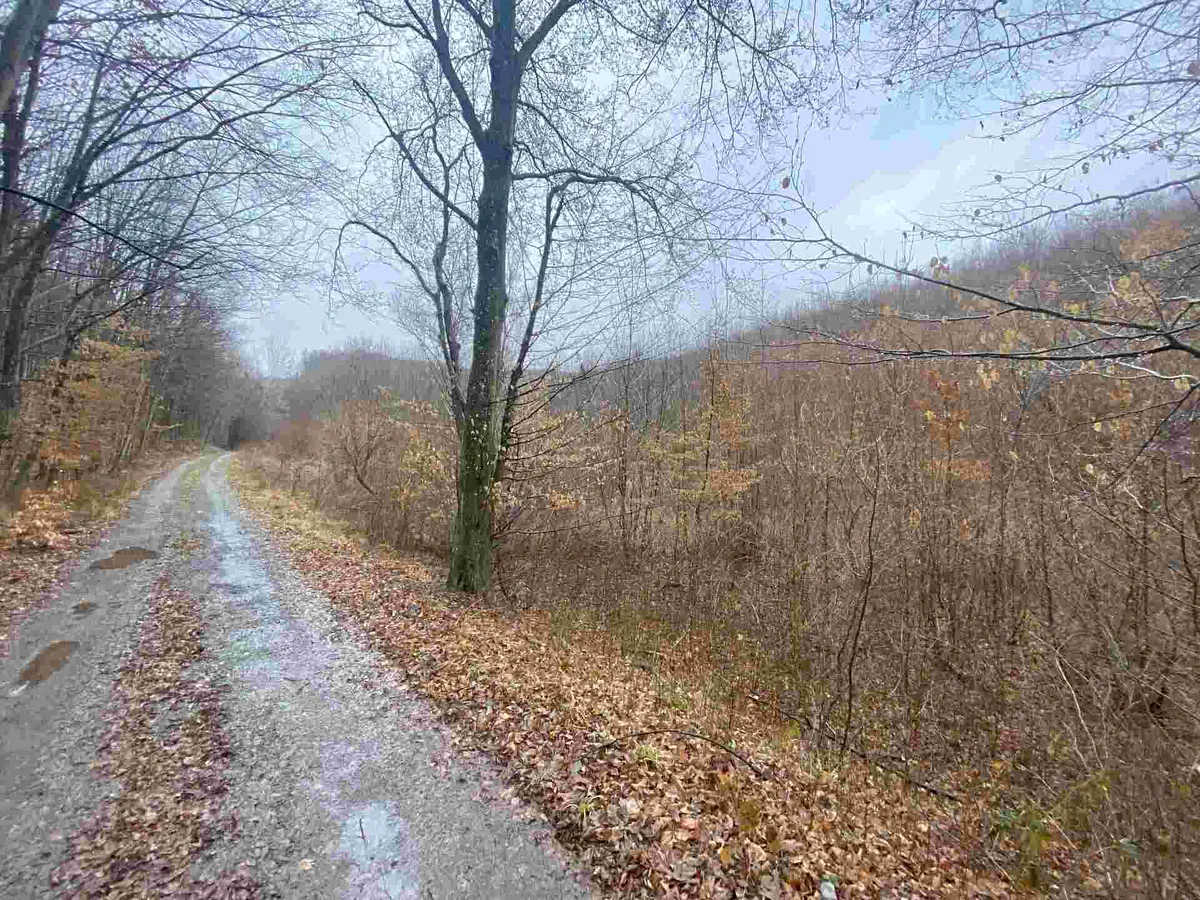 Prodej pole 3207 m²
