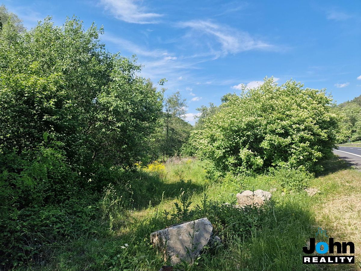Prodej louky 5950 m² – fotografie 3