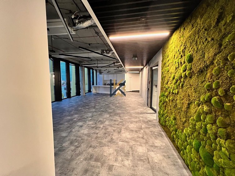 Pronájem komerčního prostoru, 300 m² (2 z 11)