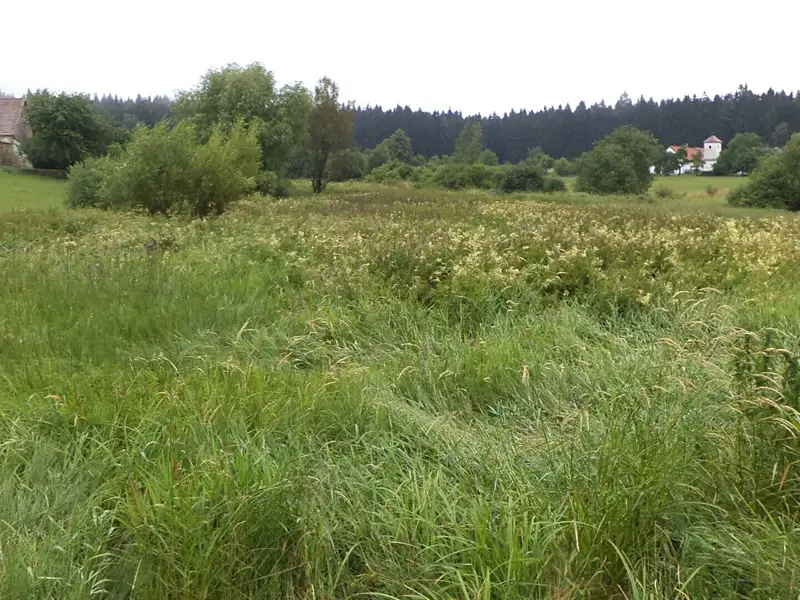 Prodej pozemku 2148 m², Horní Radouň – náhled fotky 3