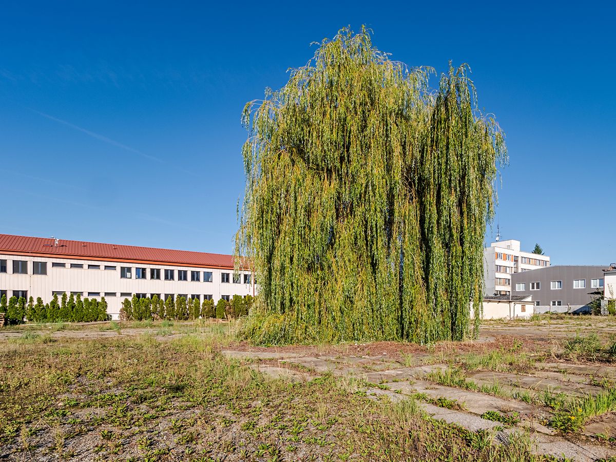 Pronájem skladového prostoru 147 m² – fotografie 2