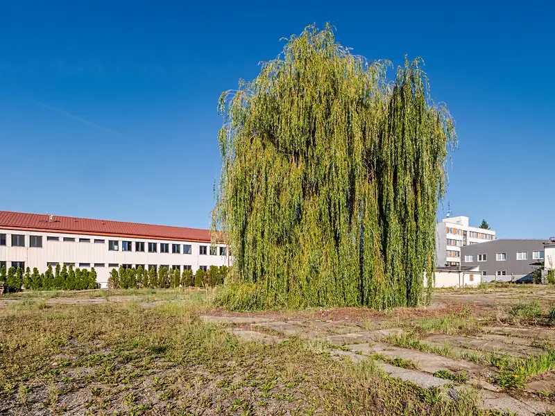 Pronájem skladového prostoru 147 m², České Budějovice – náhled fotky 2