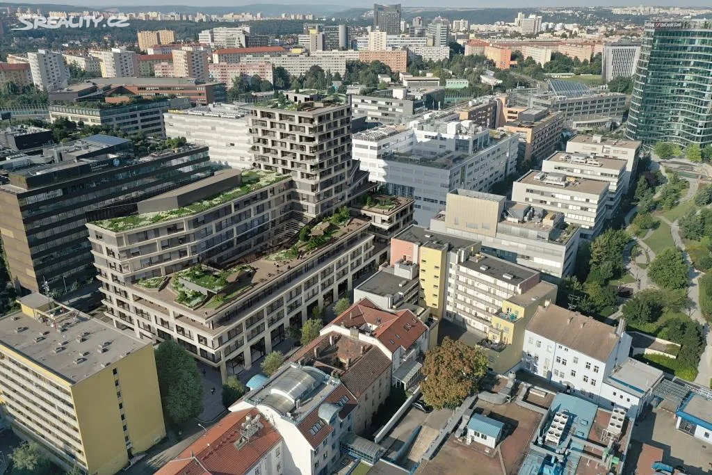 Pronájem obchodního prostoru 200 m² – další