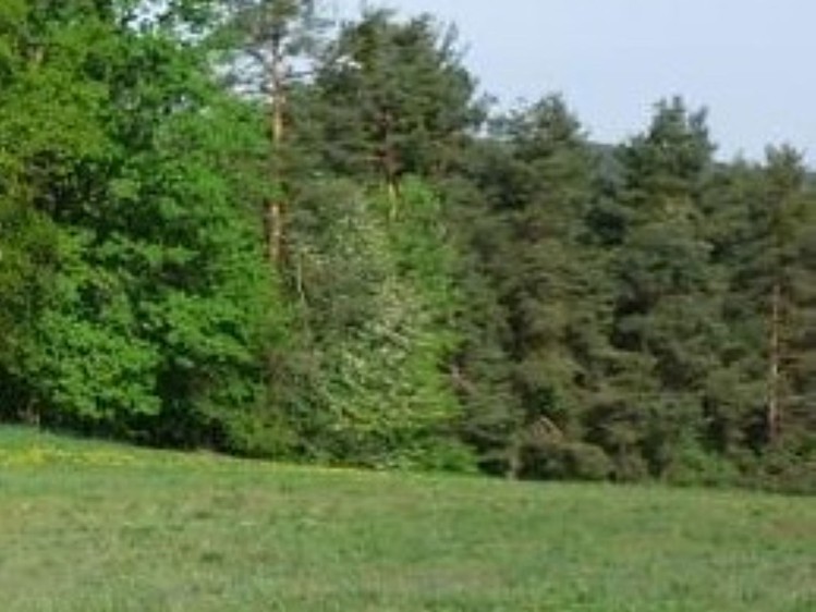 Prodej pozemku, 9 000 m² (4 z 5)