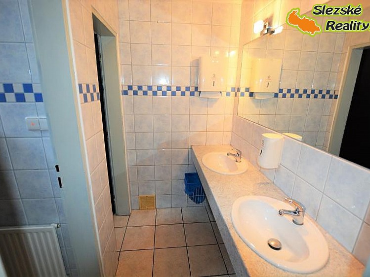 Prodej komerčního prostoru, 150 m² (27 z 29)
