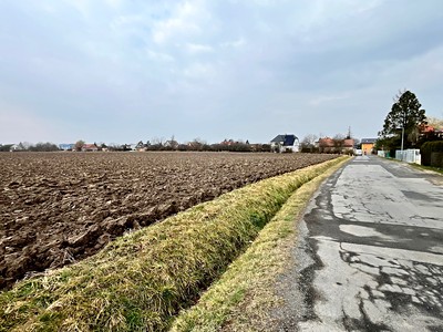 Prodej pozemku, 5 230 m² (2 z 8)