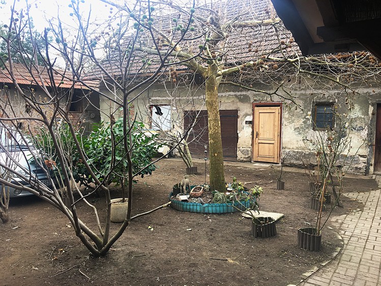 Haus zum Kauf, 180 m² (12 von 32)