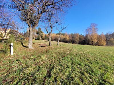 Prodej louky 6834 m²