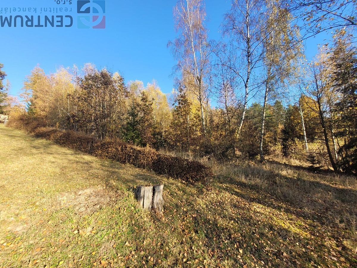 Prodej louky 6834 m² – fotografie 3
