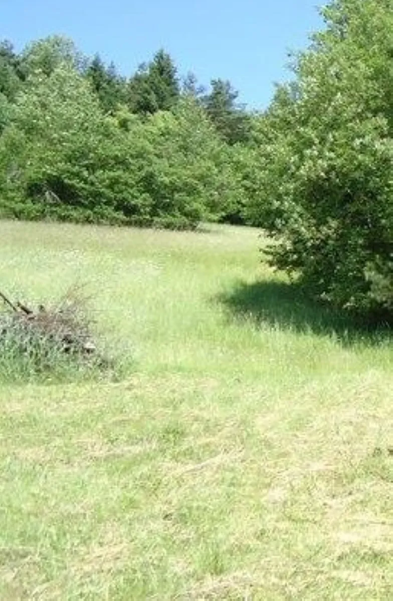 Prodej louky 9000 m²
