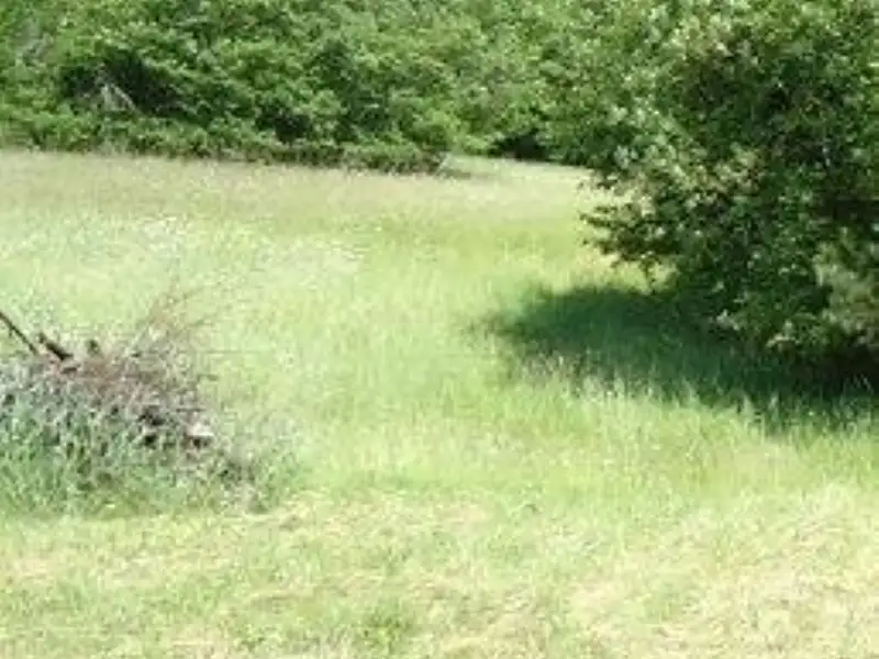 Prodej louky 9000 m², Vojnův Městec – náhled fotky 1