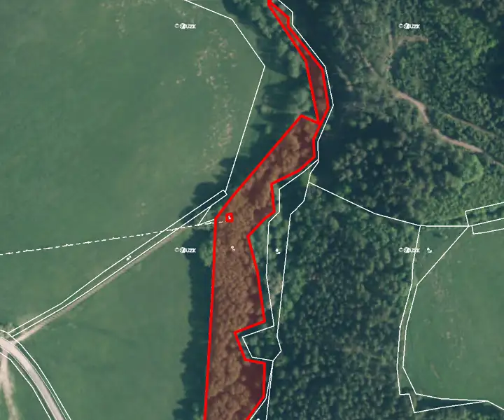 Prodej pozemku 11576 m², Kynšperk nad Ohří – náhled fotky 2