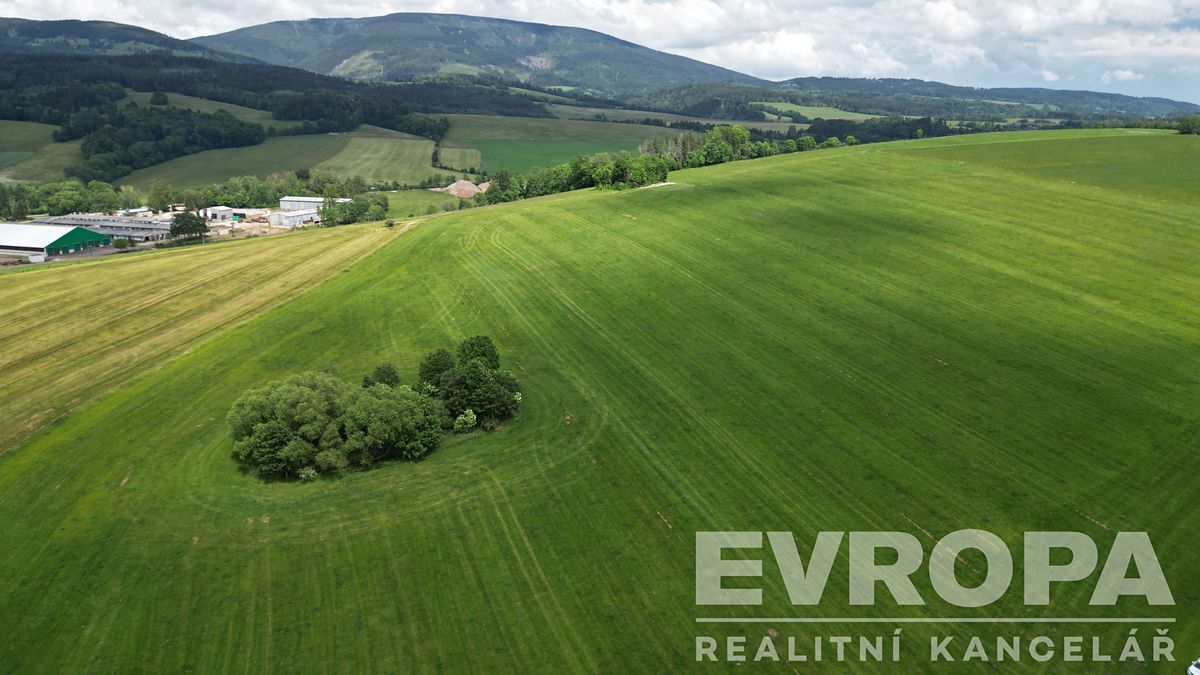 Prodej pole 132844 m²