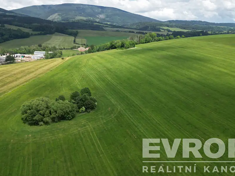 Prodej pole 132844 m², Lánov – náhled fotky 1