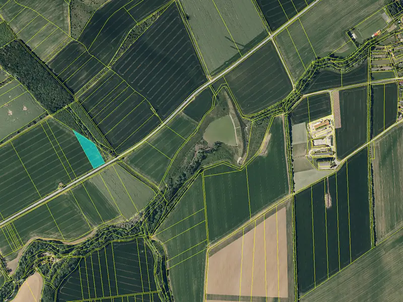 Prodej pole 6067 m², Věžky – náhled fotky 3