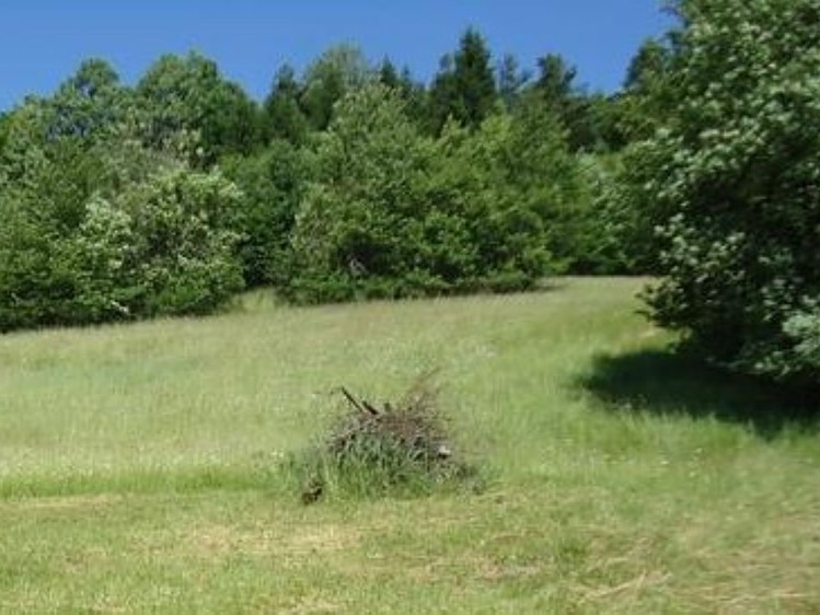 Prodej pozemku, 9 000 m² (2 z 5)