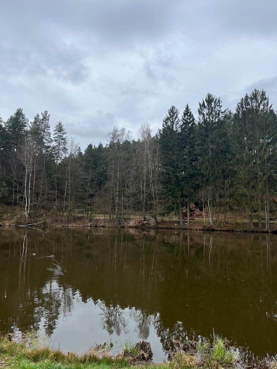 Prodej chalupy 150 m², pozemek 677 m² – fotografie 4