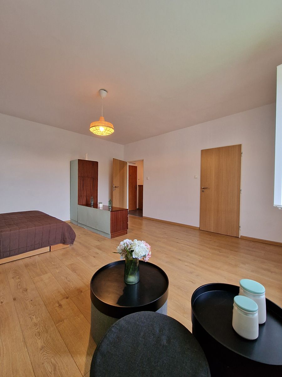 Pronájem bytu 1+1 55 m² – fotografie 2
