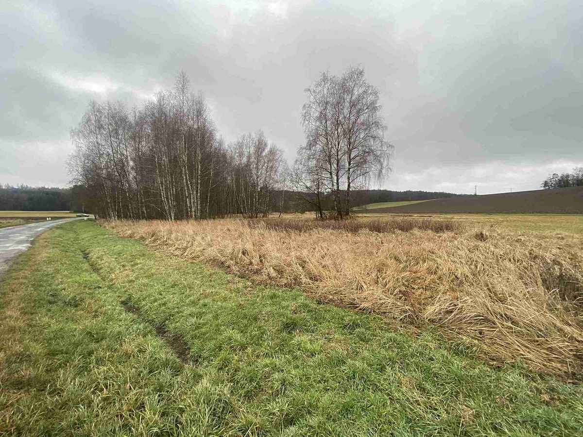 Prodej pozemku 10244 m² – fotografie 4