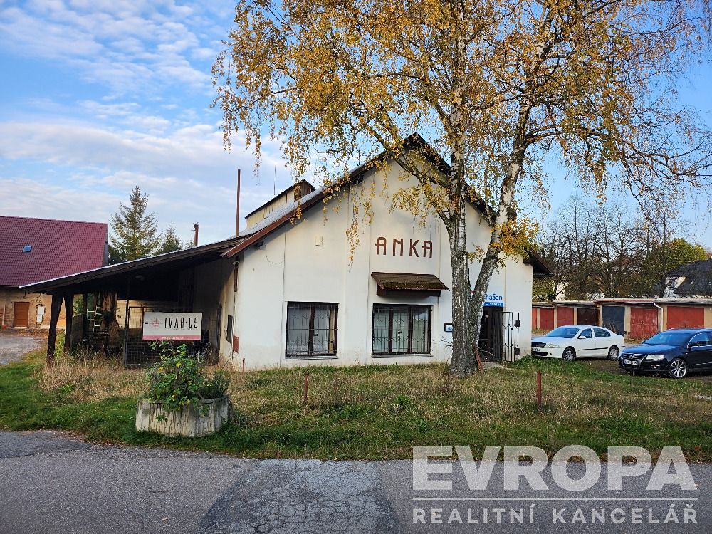 Pronájem obchodního prostoru 650 m²
