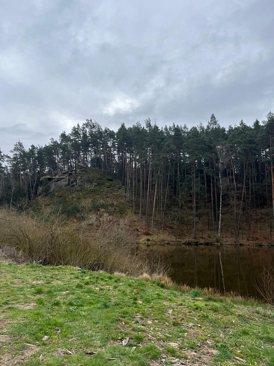 Prodej chalupy 150 m², pozemek 677 m² – fotografie 5
