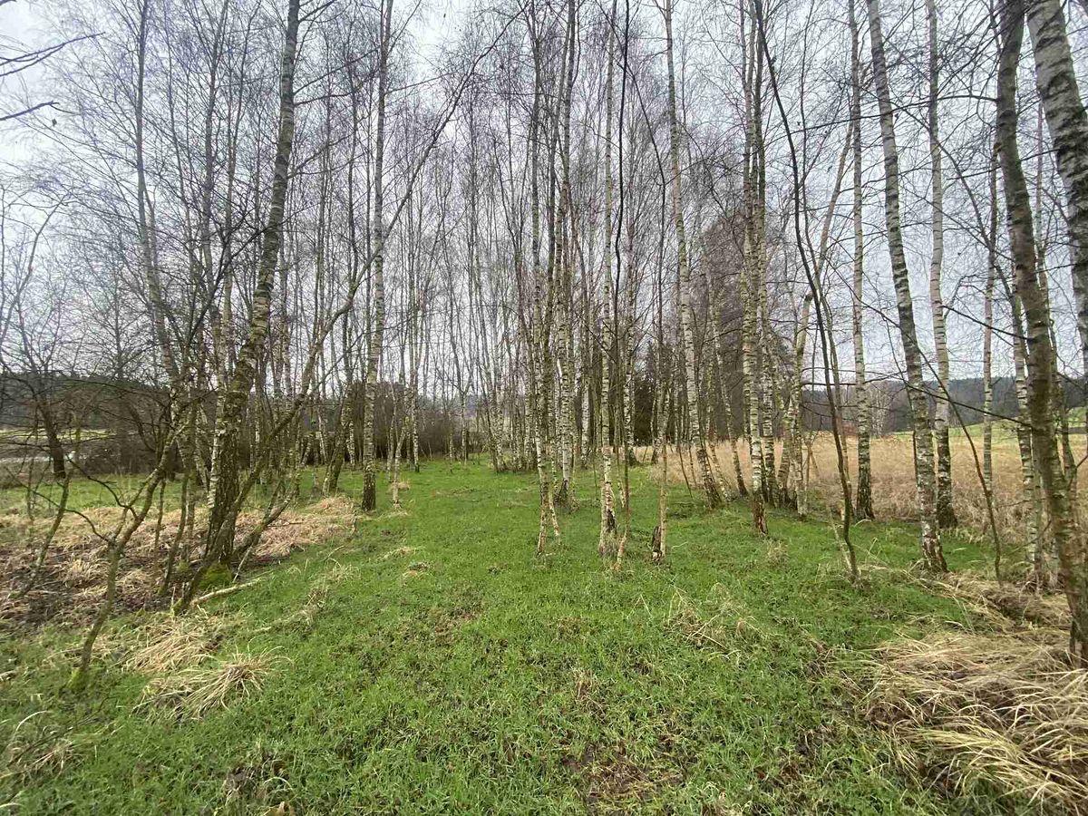 Prodej pozemku 10244 m² – fotografie 3