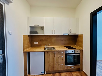 Pronájem bytu 2+kk 30 m²