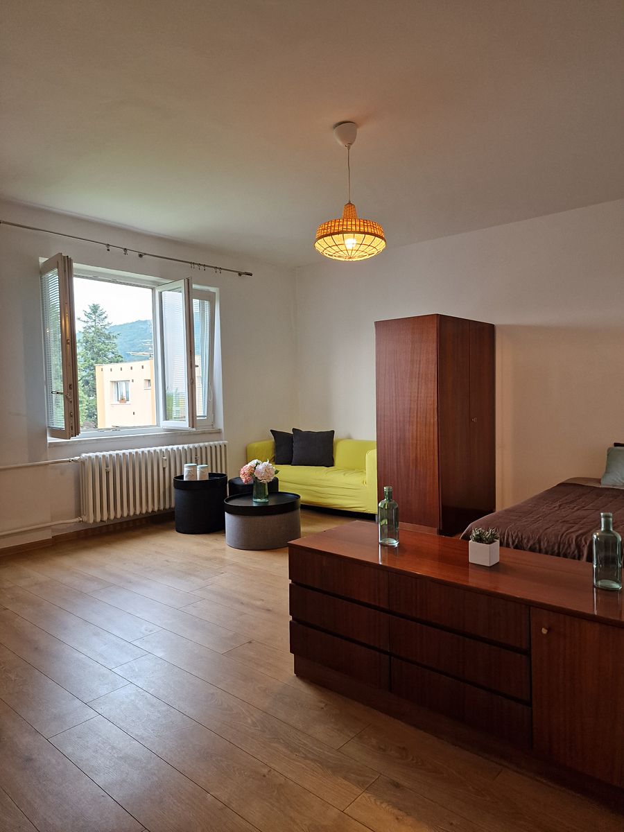 Pronájem bytu 1+1 55 m² – fotografie 4
