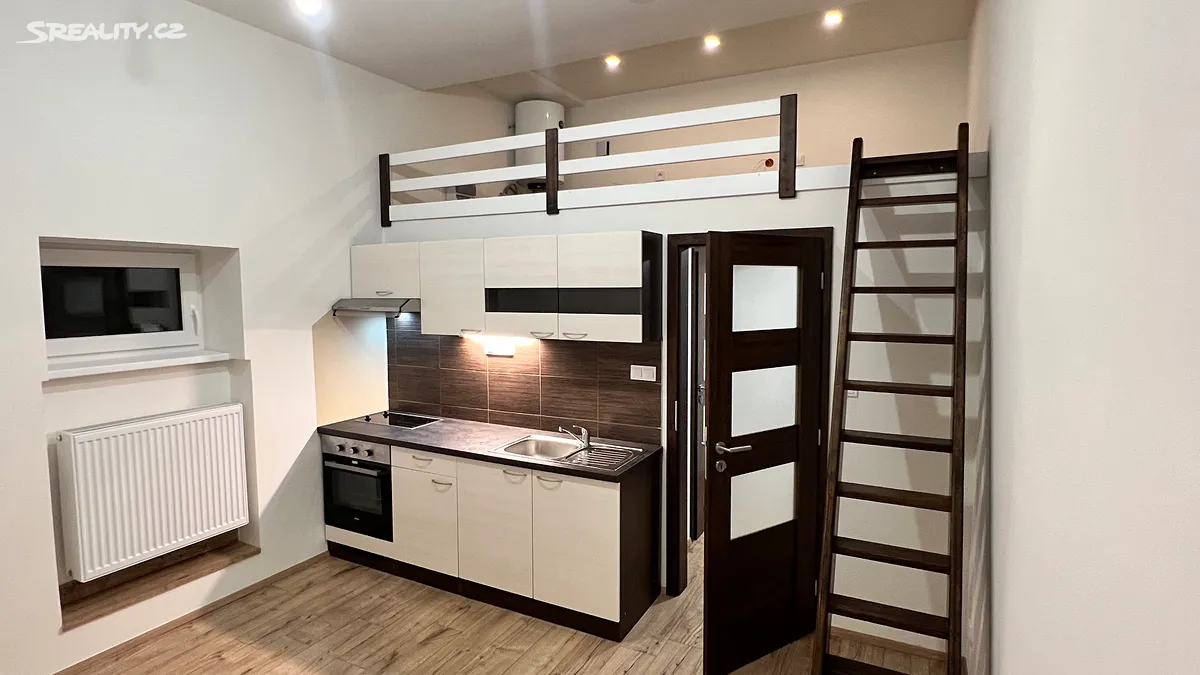 Pronájem bytu 1+kk 27 m², Žižkova