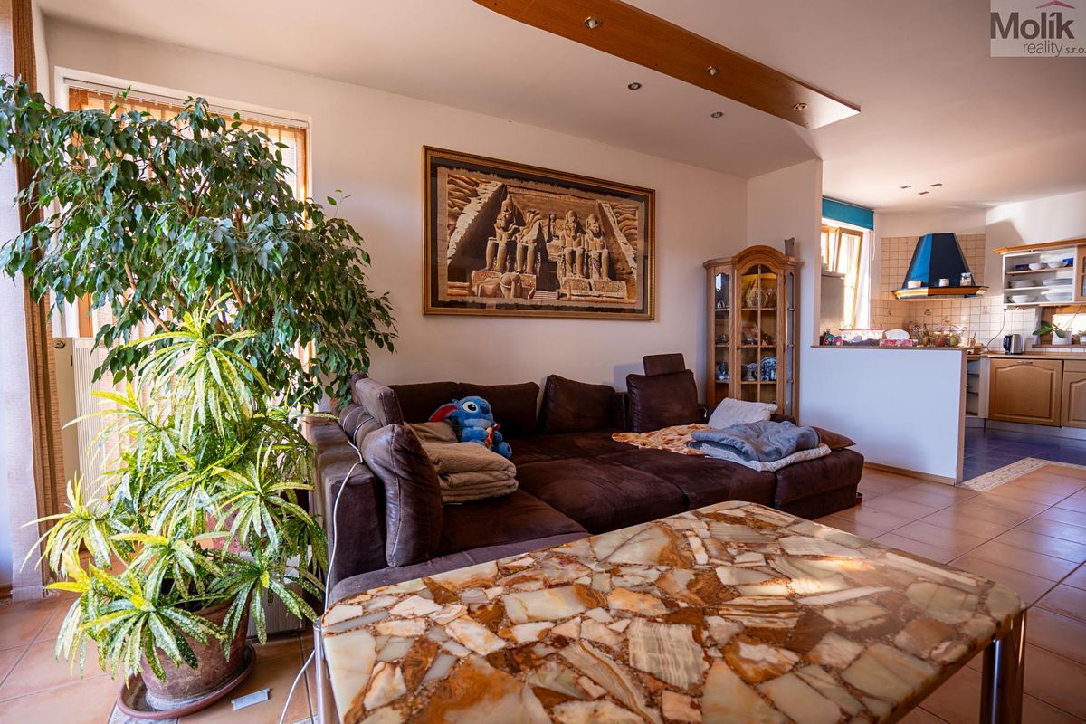 Prodej rodinného domu 200 m², pozemek 989 m² – fotografie 3