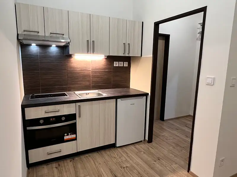 Pronájem bytu 1+kk 22 m², Český Brod – náhled fotky 1