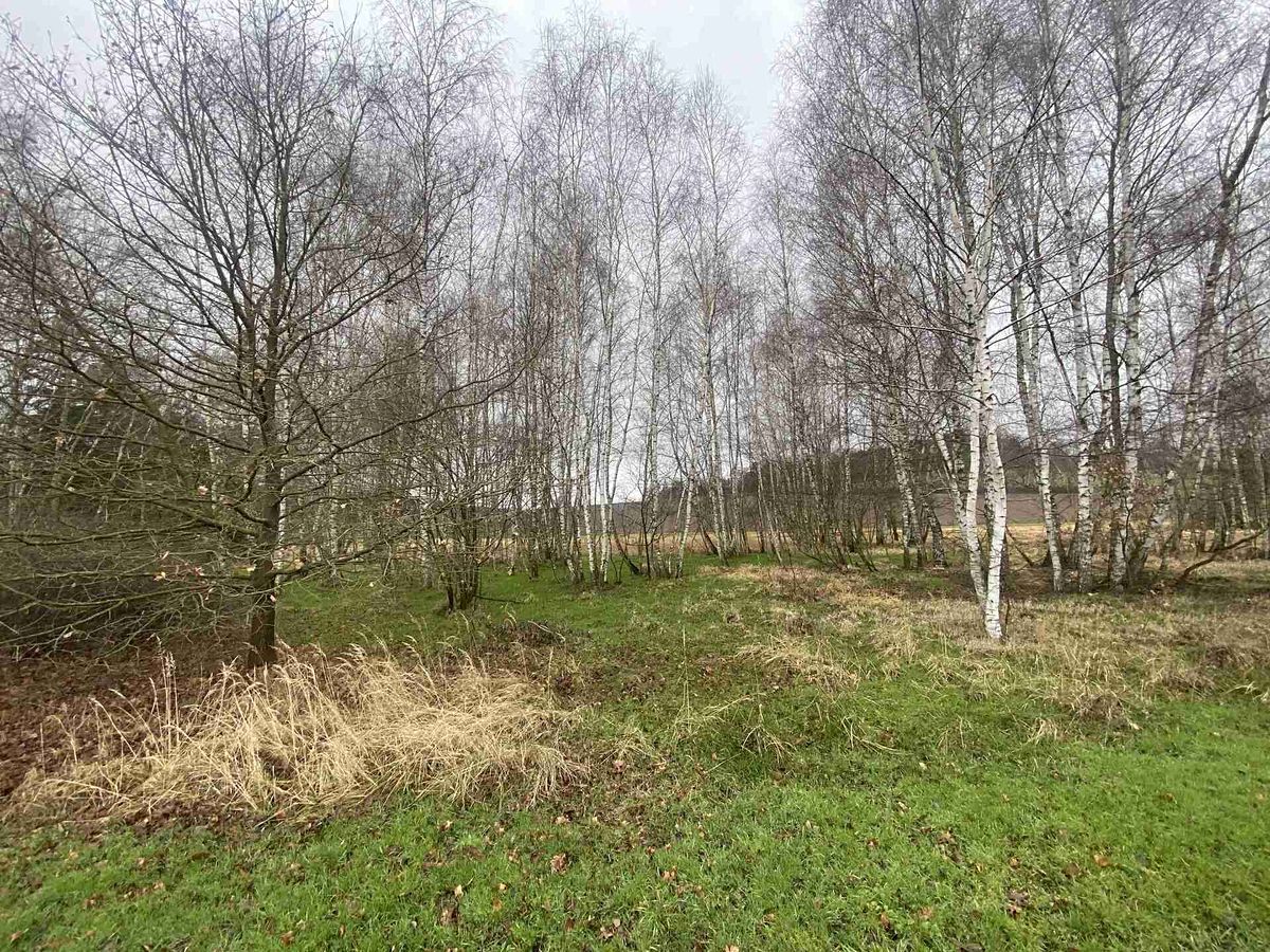 Prodej pozemku 10244 m²