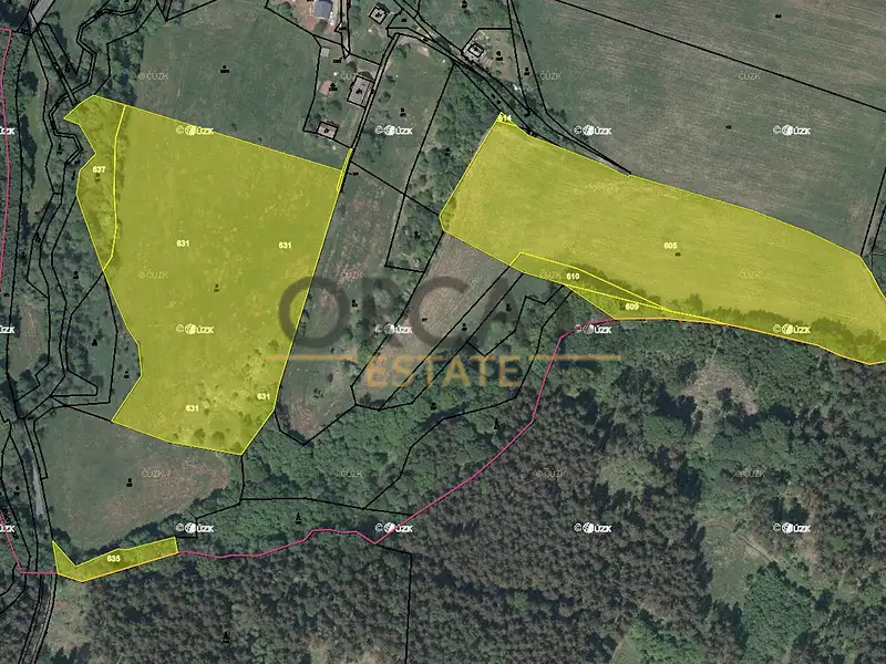 Prodej pole 49135 m², Úbislavice – náhled fotky 1
