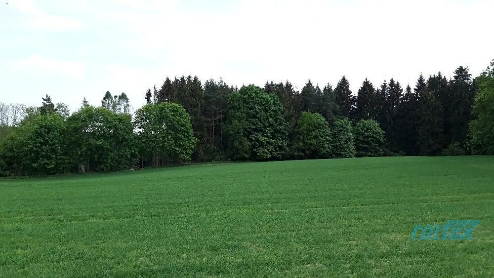 Prodej lesa 78836 m²