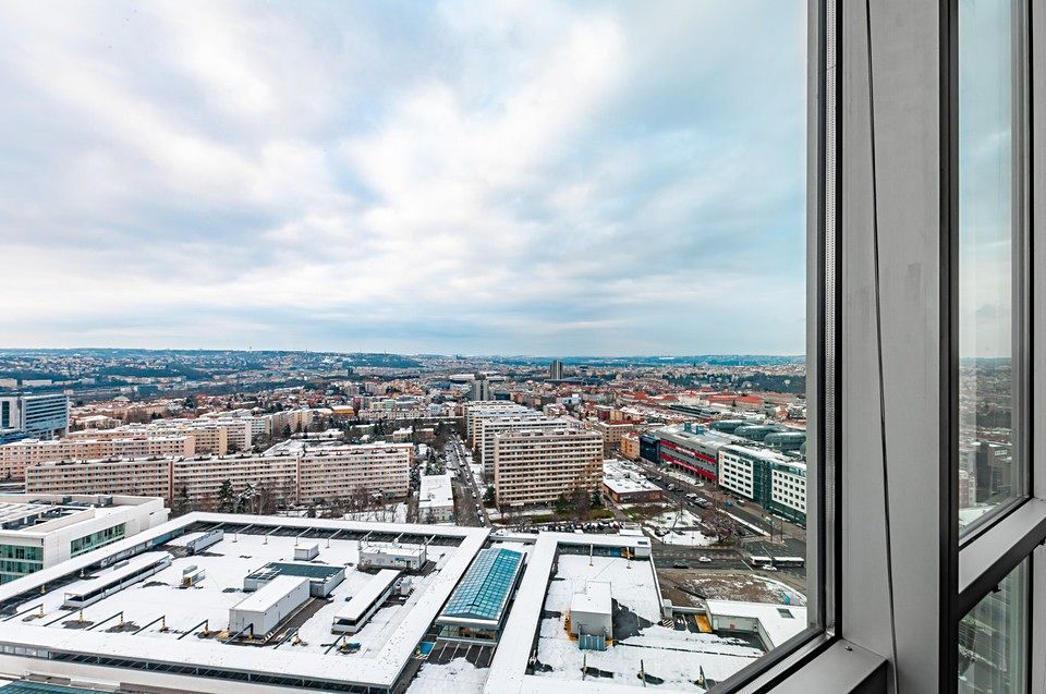 Pronájem obchodního prostoru 554 m² – fotografie 5