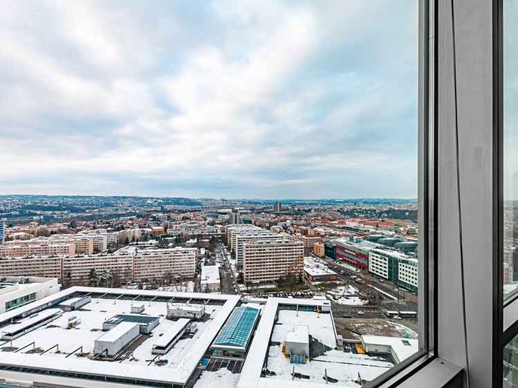 Pronájem komerčního prostoru, 554 m² (5 z 18)
