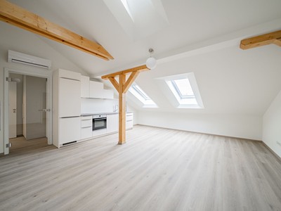Pronájem bytu 2+kk 63 m² (Podkrovní)