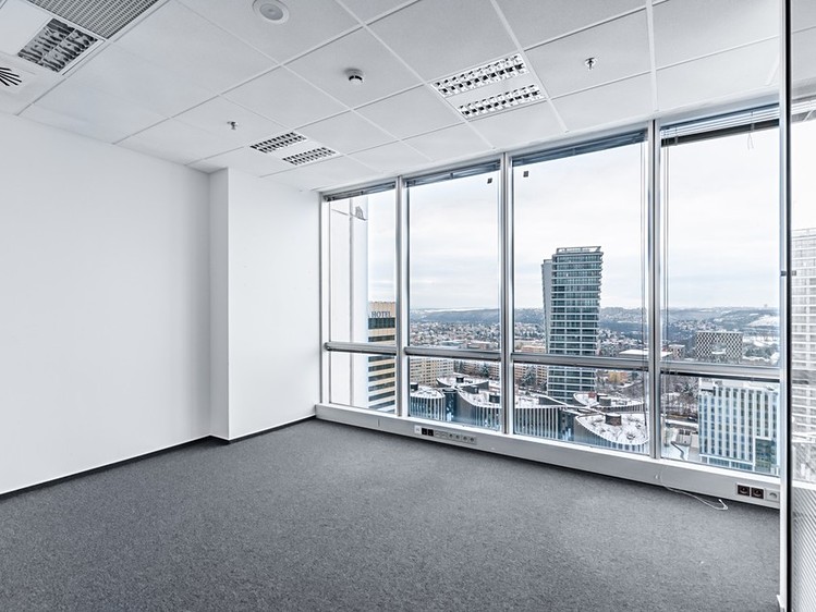 Pronájem komerčního prostoru, 554 m² (10 z 18)