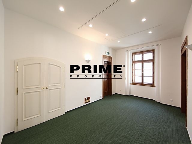 Pronájem komerčního prostoru, 167 m² (12 z 30)