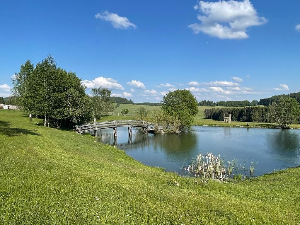 Prodej rodinného domu 472 m², pozemek 19274 m² – fotografie 5