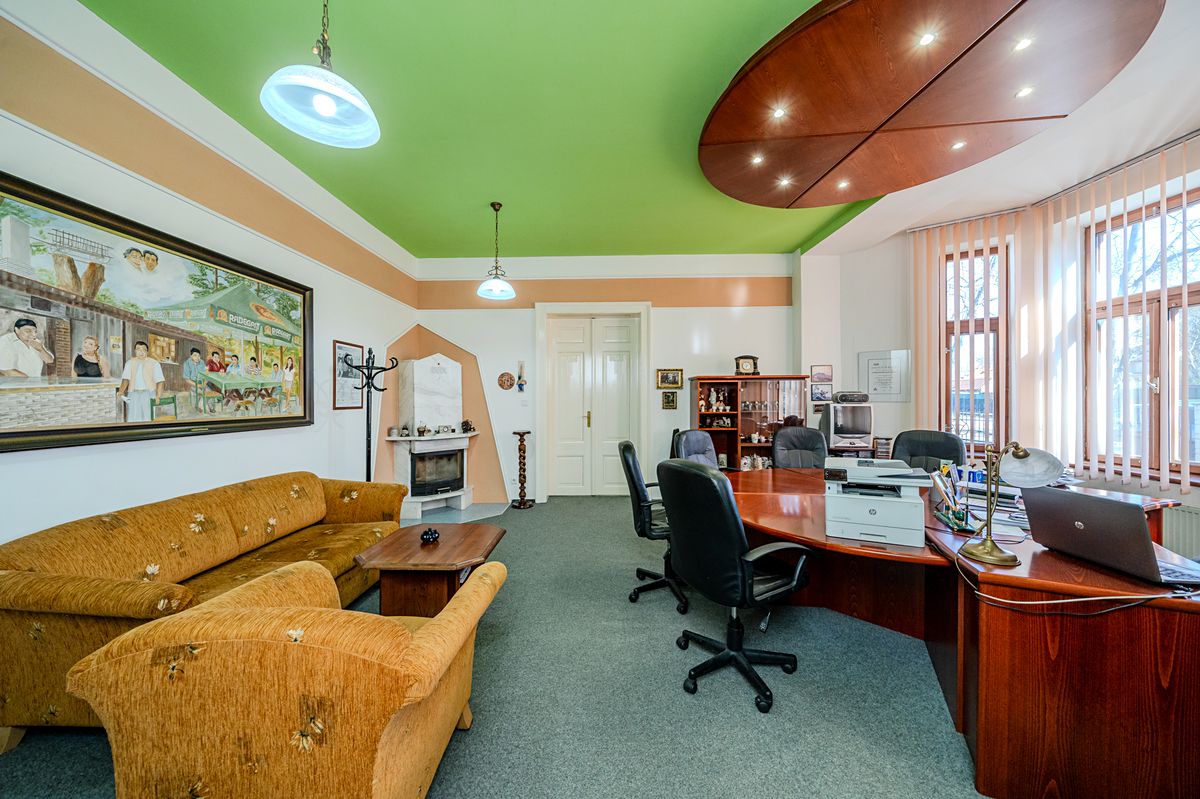 Prodej vily 400 m², pozemek 2149 m² – fotografie 4